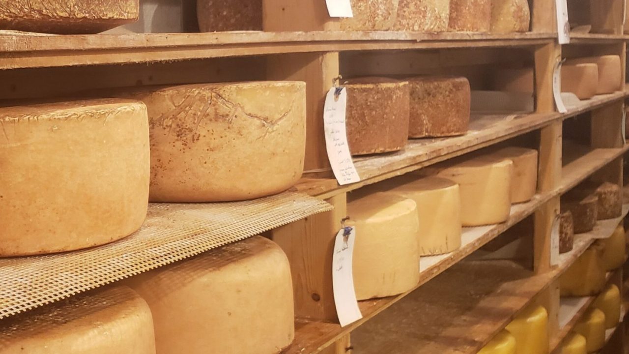 Internship Cornucopia Project