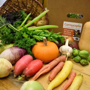 Thanksgiving CSA Share