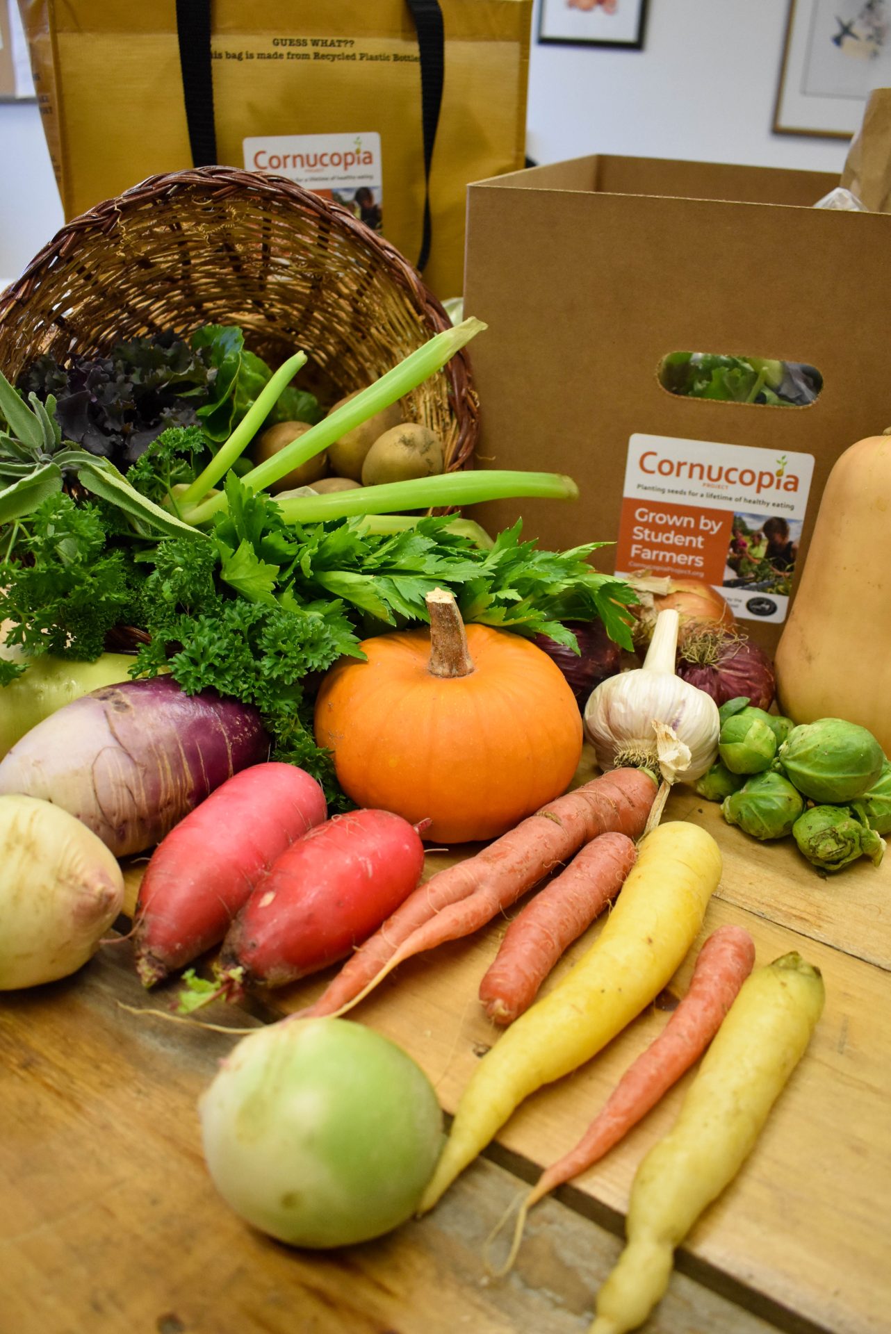 Thanksgiving CSA Share