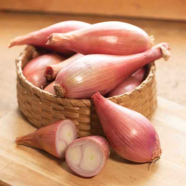 Crème Brûlée Shallots 6 pack