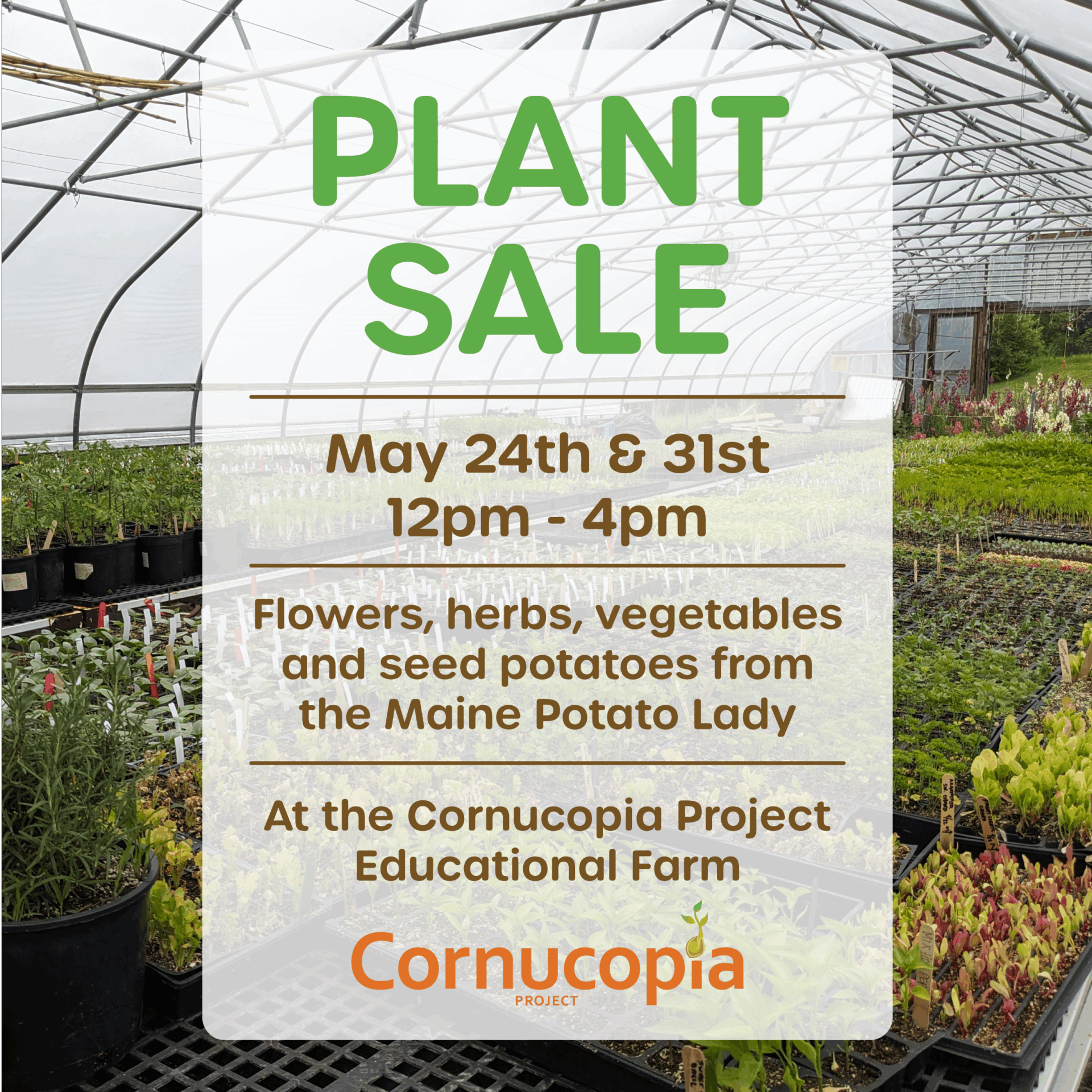 PlantSale25-01