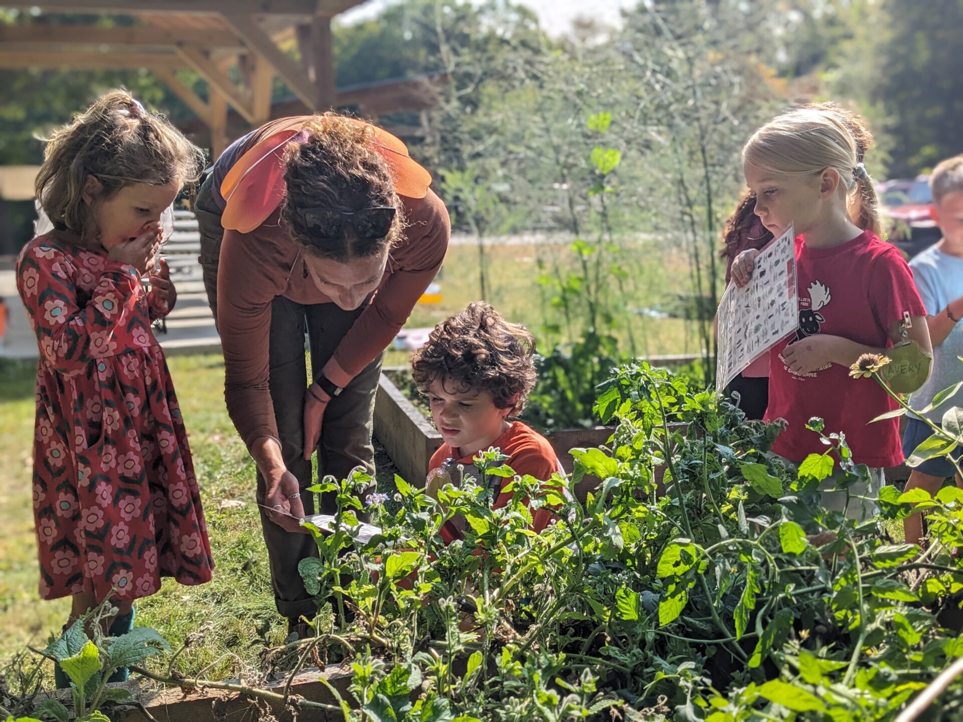 PXL_20240912_141105136.PORTRAIT